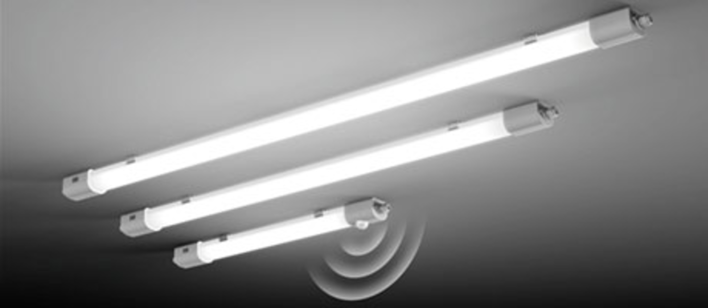 Planox Feuchtraumleuchten bei RP Light Systems GbR in Erfurt